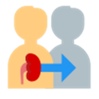Focus Icons