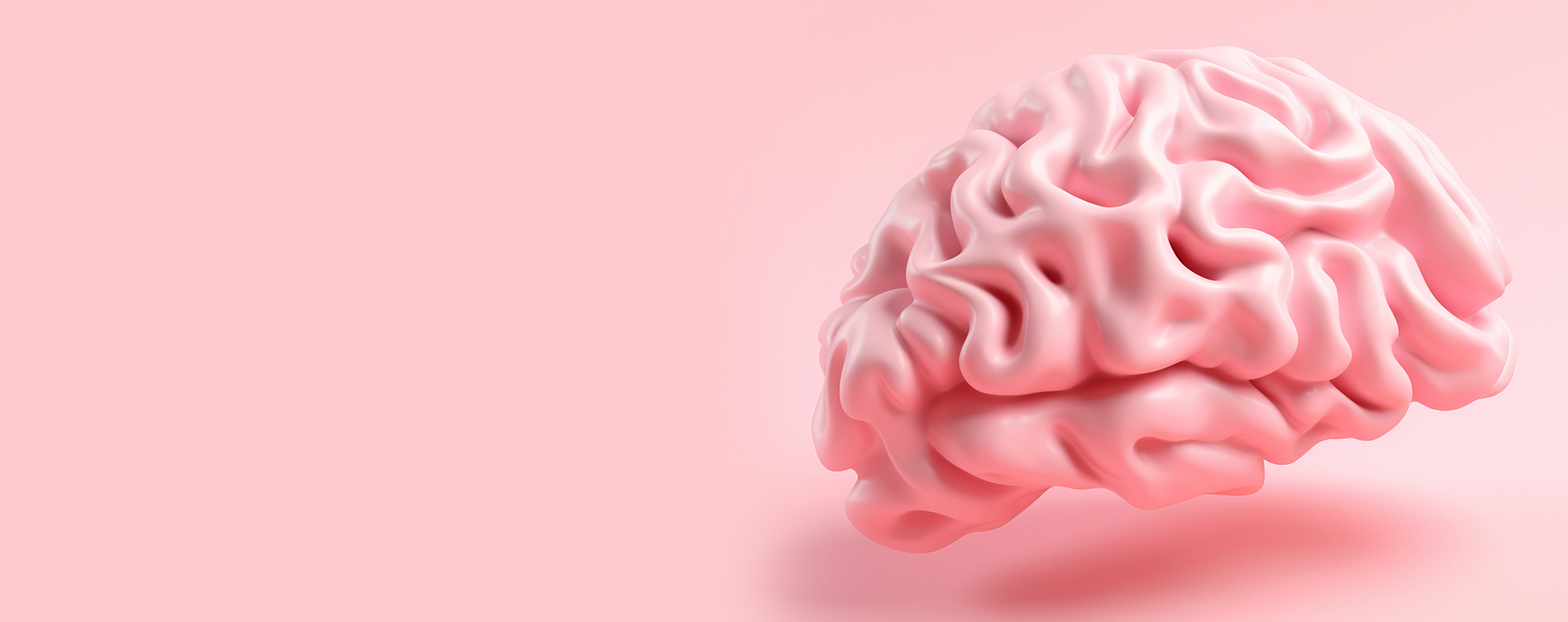 Department of neurology and neurosurgery 